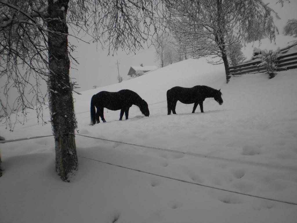 Haus Schoenleiten Wagrain Bagian luar foto