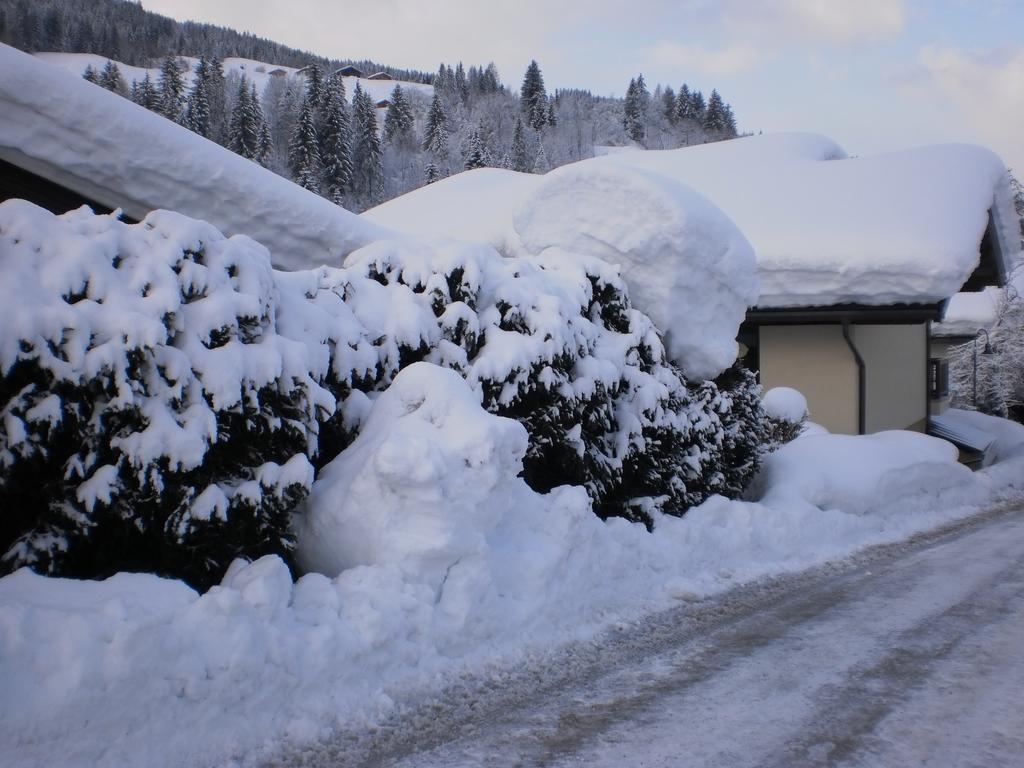 Haus Schoenleiten Wagrain Bagian luar foto