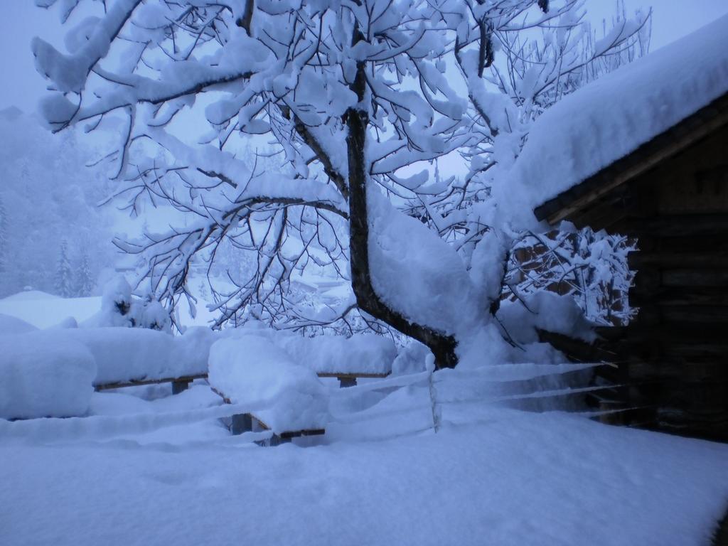 Haus Schoenleiten Wagrain Bagian luar foto