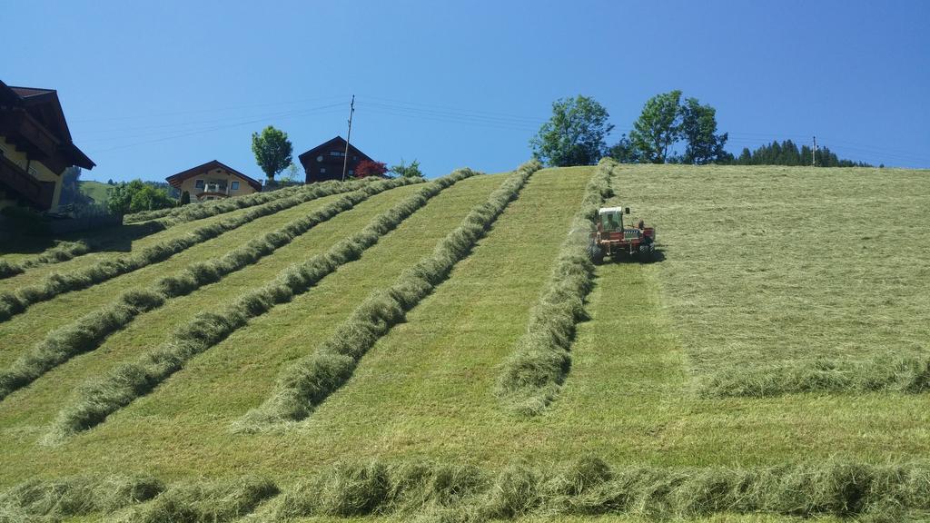 Haus Schoenleiten Wagrain Bagian luar foto