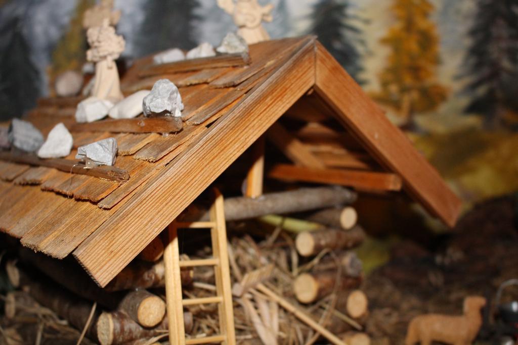 Haus Schoenleiten Wagrain Bagian luar foto