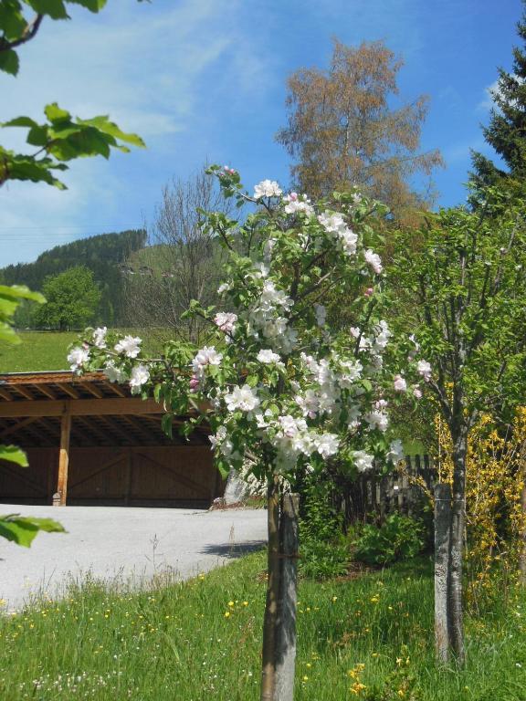 Haus Schoenleiten Wagrain Bagian luar foto